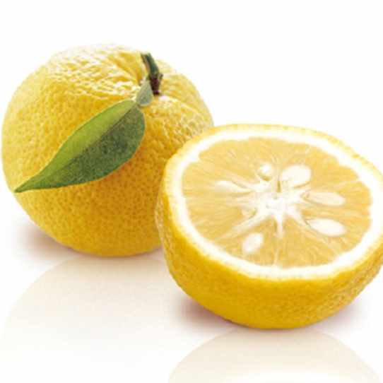 /media/10275/yuzu.jpg